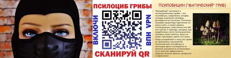 Галлюциногенные грибы Cubensis  мориарти официальный сайт  omg   Богородск  купить закладку 