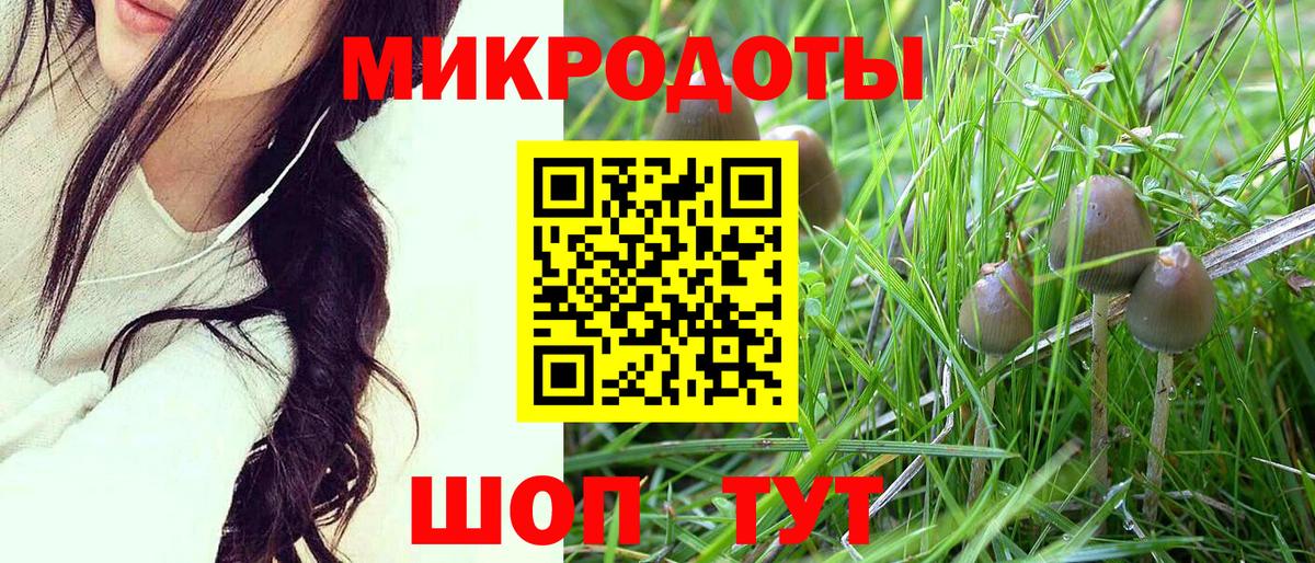 Псилоцибиновые грибы прущие грибы  Вход с VPN  Богородск 