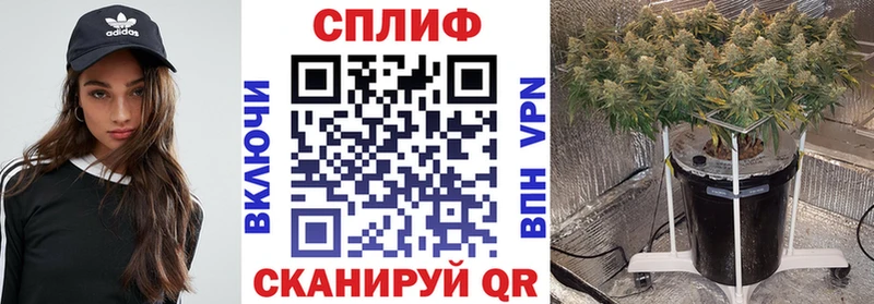 МАРИХУАНА семена  Богородск 
